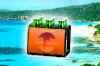 prodotti_chinotto1.jpg (37077 byte)