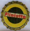 pliniotto1.jpg (41927 byte)