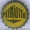 pliniotto2.jpg (43106 byte)
